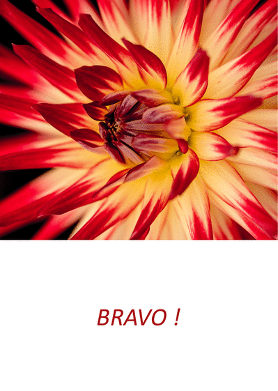 Bravo rouge
